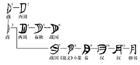 月的古字|月(漢語漢字):字源演變,詳細釋義,古籍解釋,說文解字,康。